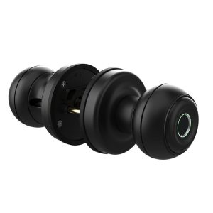 K01 spherical fingerprint lock