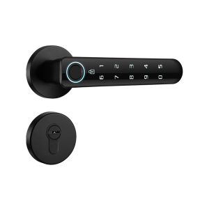 K244 Split fingerprint lock
