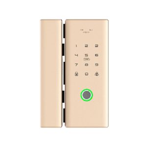 G200 Glass Smart Lock