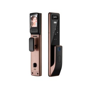 GL-RQ30 & 3D Facial Recognition Smart Lock