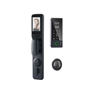 GL-R33 & 3D Facial Recognition Smart Lock